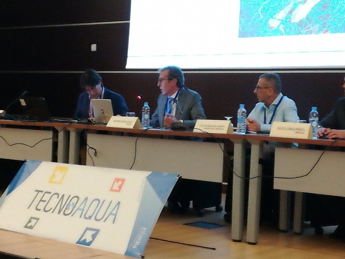 Seguimos con la jornada de <a href="/tecnoaqua/">TecnoAqua - el agua nos define</a> y @AeasAgua sobre #microplasticos. Antonio Rosado de <a href="/Iproma_com/">waleed</a>  nos explica las cuestiones clave para su análisis #tecnoaquamicroplasticos