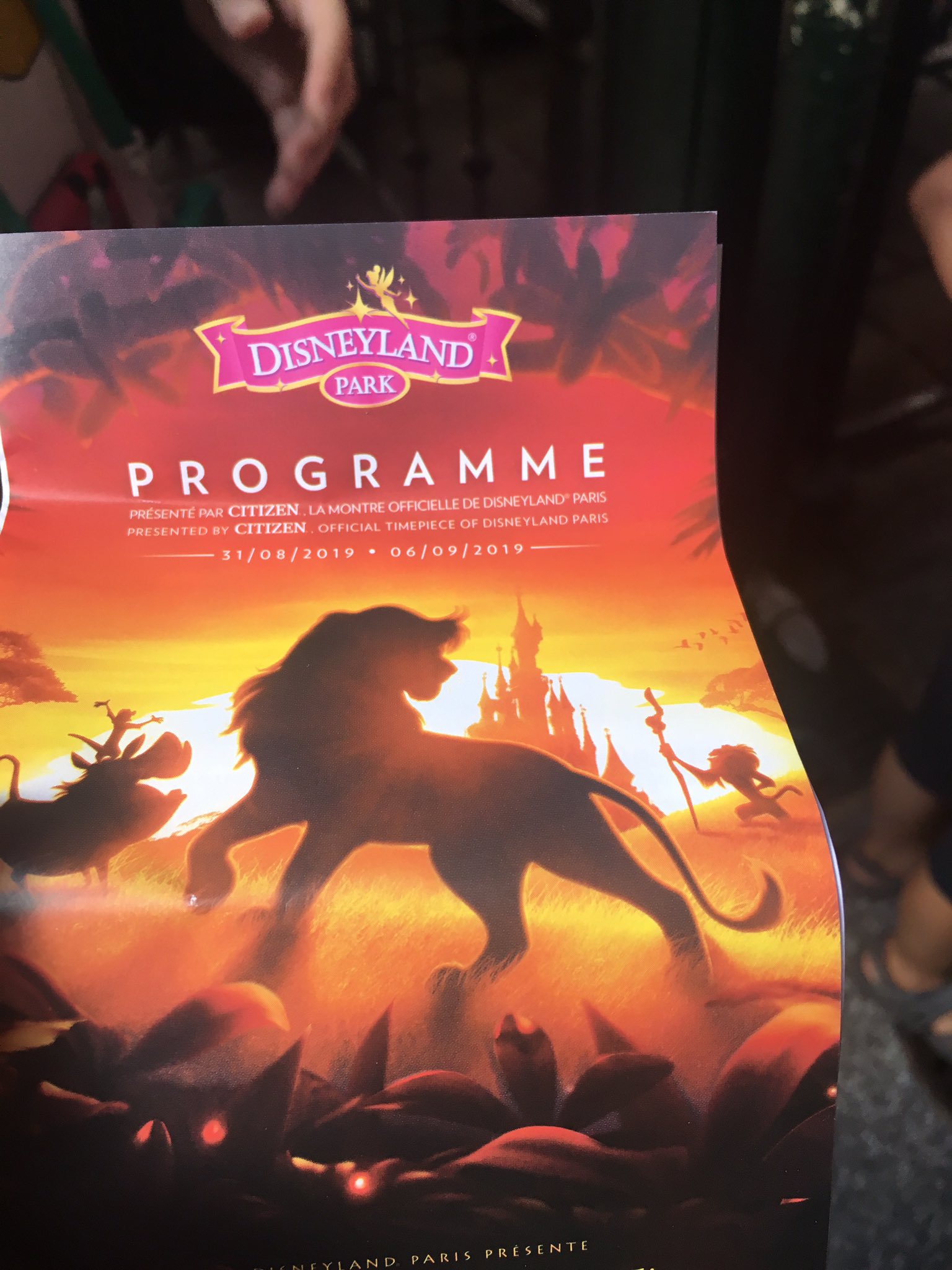 ট ইট র 笹丸 C99 金曜日 東メ47a ディズニーランドパリ ライオンキングフェスティバルを目当てに突発的に行ってしまいました まわりのお客さんもライオンキングの服を着ていて もう 拝みましたわ T Co Kerkoppcb6 ট ইট র