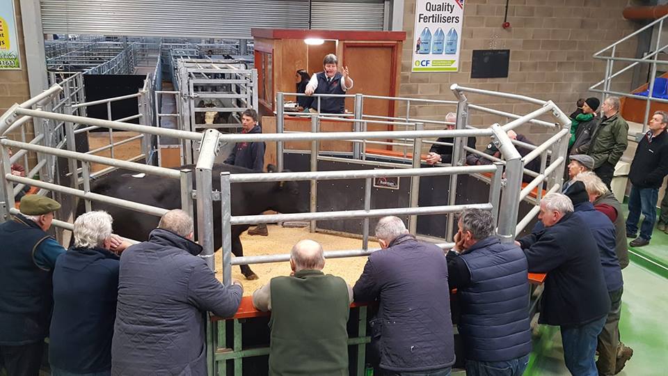 HopesAuction tweet media