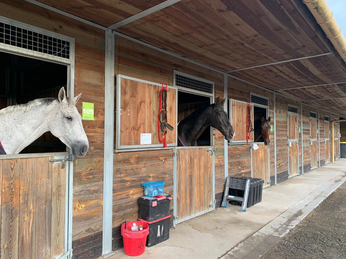 Horses happily settled in here in @ligniere