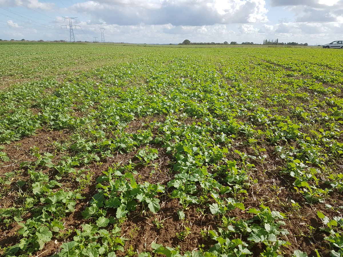 Rigolle Benoît tweet media