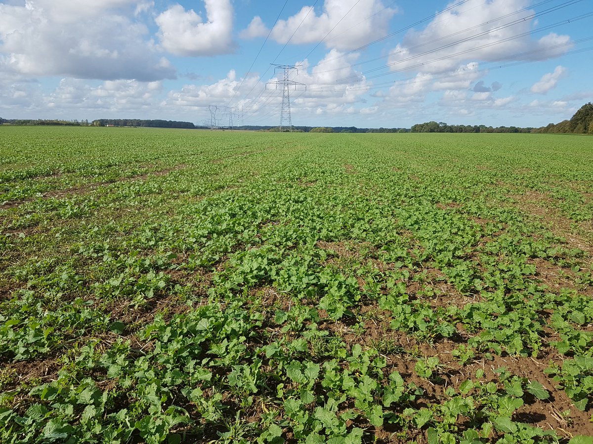 Rigolle Benoît tweet media