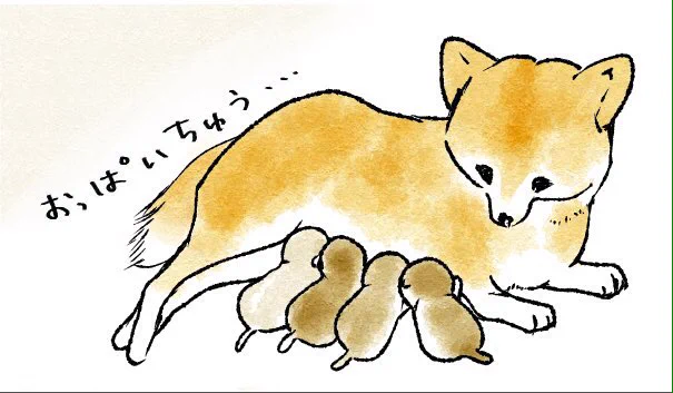 悩んでた事とか気に病んでた事がホントどーでもいーわ!ってなるますわんこさいこうです 