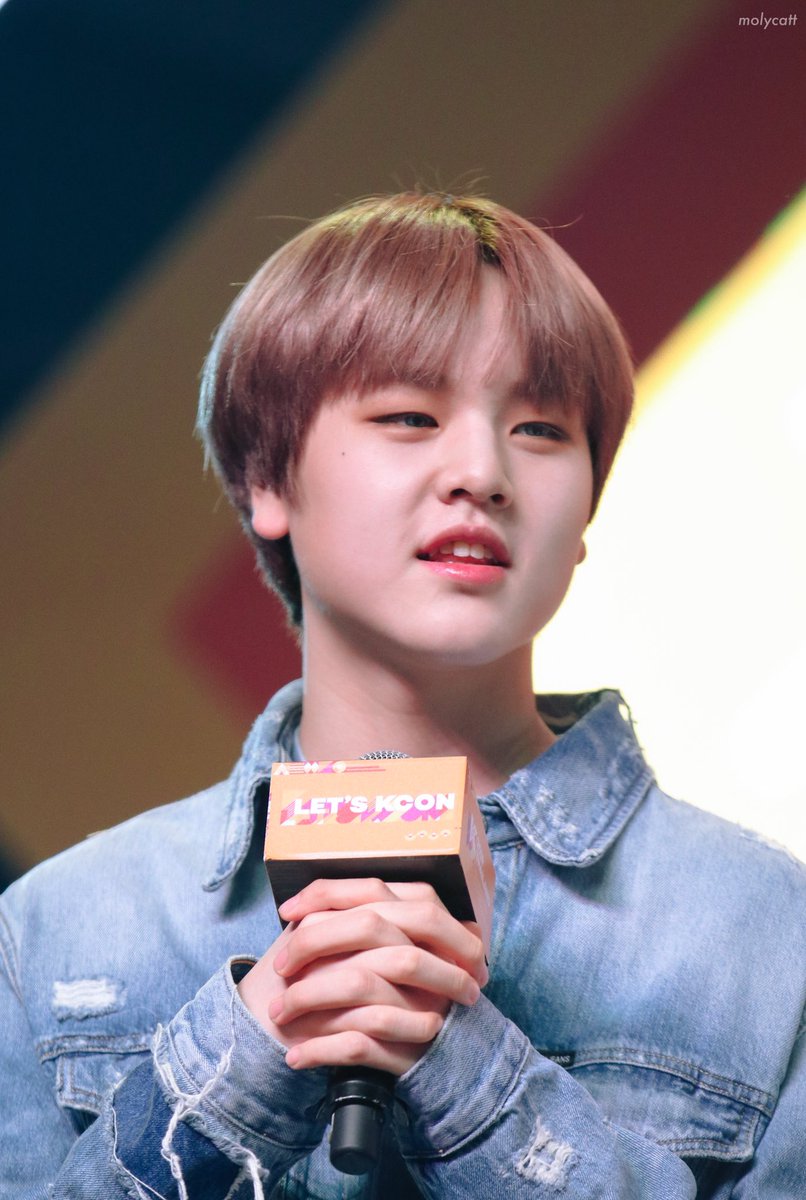 𝙢𝙤𝙡𝙮𝙘𝙖𝙩 tweet media
