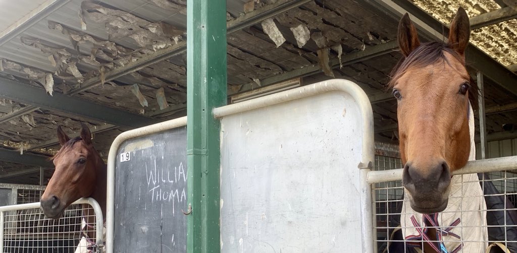 Rachel Armes tweet media