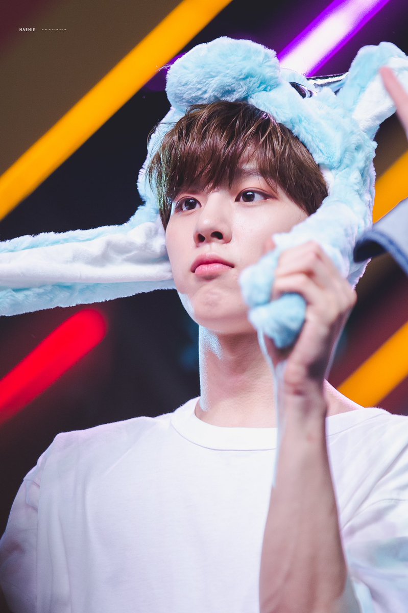 Naenie_N2's tweet photo. [HQ] 190929 น่ารักจังเลยน้องยูนิคอน🦄#김우석 #우석 #kimwooseok #엑스원 #X1 #엑스원
#KCON2019THAILAND  #KCON19TH https://t.co/HovYvIAkgT