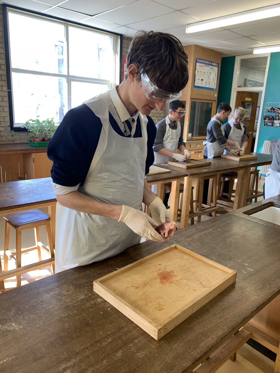 DCP_Science tweet media