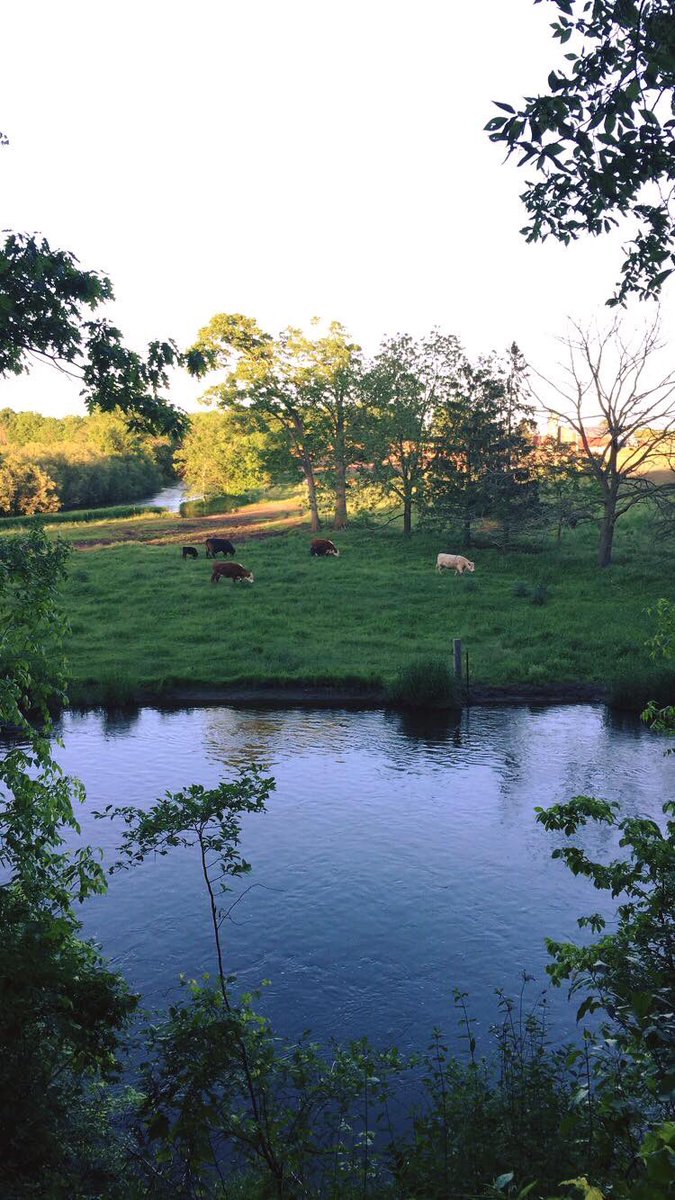 Drew Burgoyne (CBS58Drew) Twitter