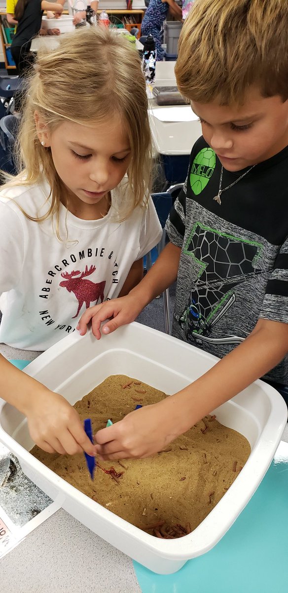 MsBartochowski's tweet photo. How do birds use their beaks to survive? Thank you Mrs. Huseman, Miss Alex, and @NNorthwestswcd for helping us understand the world around us! @WinfieldElem #science #playLAP #publiced #k12 #2ndgrade https://t.co/GXwKG6DvjQ