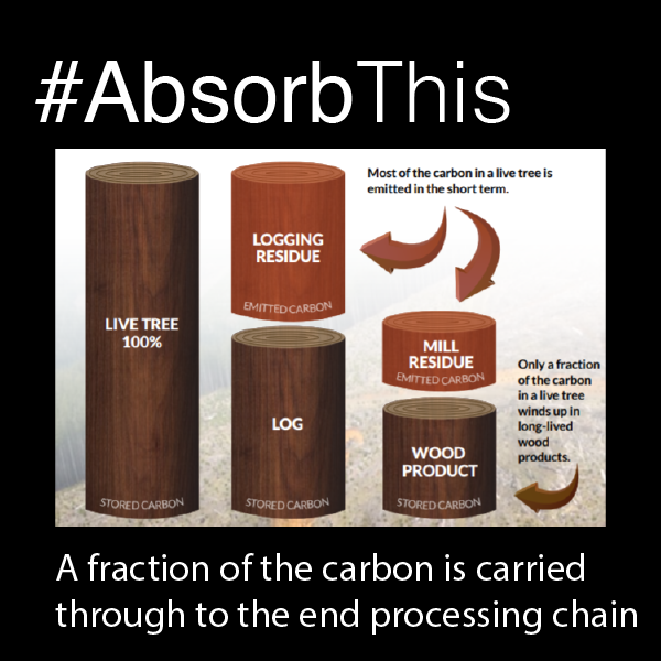 CCMasonryPA's tweet photo. #AbsorbThis 

"Only a fraction of the carbon in an old-growth tree is actually stored if it is cut and converted to products." Sierra Club

 https://t.co/o14HKWi4pL

#deforestation #forestprotection #buildforlife #buildwithstrength #lifecycle #lowcarbonconcrete https://t.co/wFMh0lWJCP