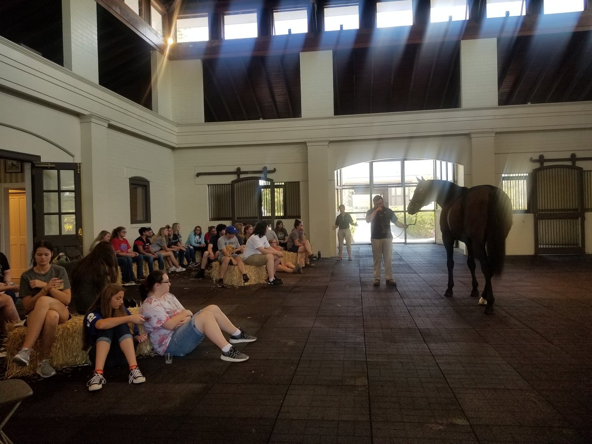 Laurie Mays (@lauriemaysky) on Twitter photo <a href="/PinOakStud/">Pin Oak Stud</a> rounded out #Bus2Biz with lunch and a stallion presentation of Alternation for <a href="/MCHSGoldenEagle/">Mercer County HS</a> students!
@KyWorkforce
<a href="/JAGkentucky/">Jobs for Kentucky's Graduates</a>
<a href="/horseswork/">Ky Equine Ed Project</a> <a href="/PinOakStud/">Pin Oak Stud</a> rounded out #Bus2Biz with lunch and a stallion presentation of Alternation for <a href="/MCHSGoldenEagle/">Mercer County HS</a> students!
@KyWorkforce
<a href="/JAGkentucky/">Jobs for Kentucky's Graduates</a>
<a href="/horseswork/">Ky Equine Ed Project</a>