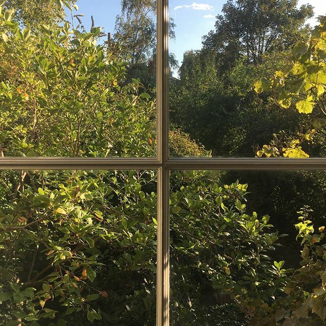 tatjana1o1's tweet photo. sky today #02/10/19
.
.
.
#garden #gardenstories #inmybackgarden #london #hackney #magnolia #londongarden #hackneygarden #gardenstagram #inmygarden #sash #window #inmybackyard #gardenlife #gardenlifestyle #gardendesign #gardening4pleasure #sashwindow #ga… https://t.co/7zrJNuJgmO https://t.co/eHTqUv9FjA