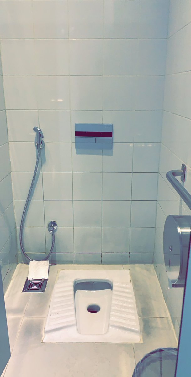 Saudi Arabian Toilets