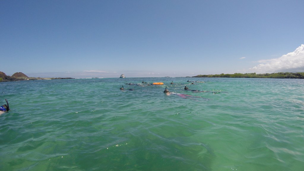 The water is warm...come snorkel with us in the #Galapagos!
