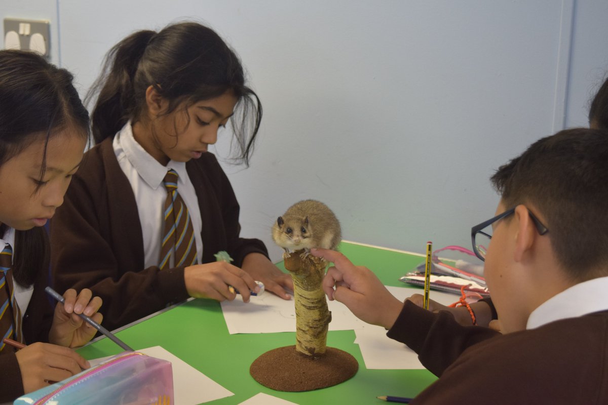 OLS Year 6 tweet media