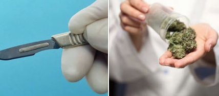 Doctors  Frightened Of Cannabis. ."It works, is safer than virtually all the pills you can buy  &amp; has  beneficial effects for a very wide range of conditions. It shakes their world &amp; so they are eager to disparage it, exaggerate its risks, diminish its efficacy.