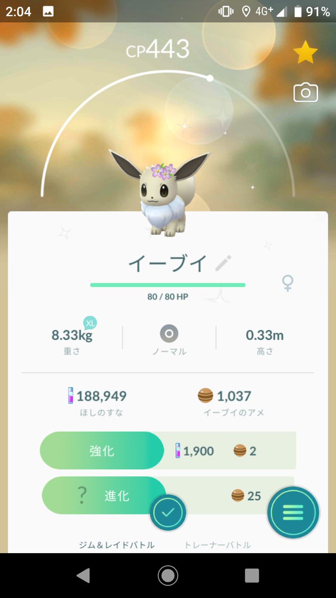 ポケモンgo 色違い花飾りイーブイのメスは激レア オスの価値はなし ポケモンgo攻略まとめ速報