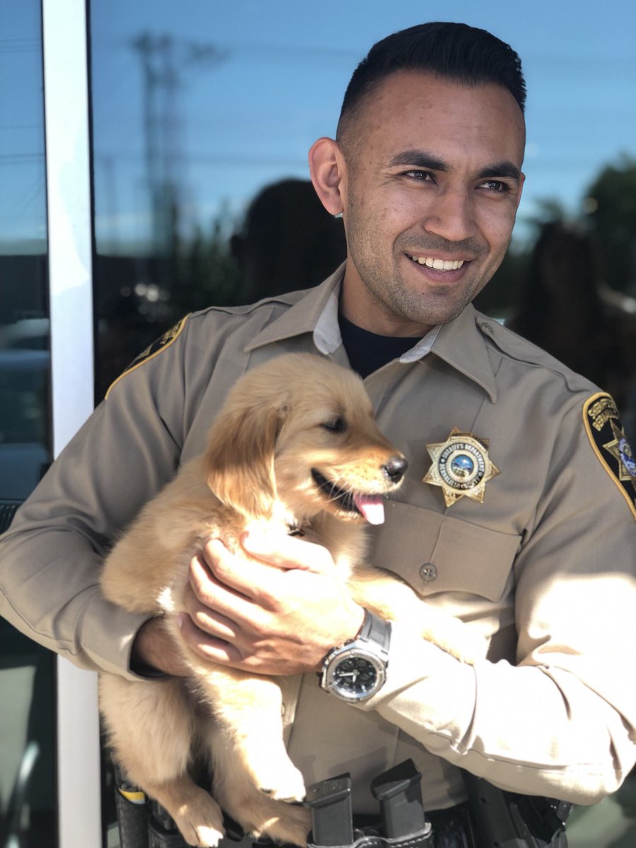 BCSONM's tweet photo. This little pup brightened our day! ๐๐ถ
#FutureK9 #WagMoreBarkLess #ICantEven https://t.co/Qm2LP7yqqA