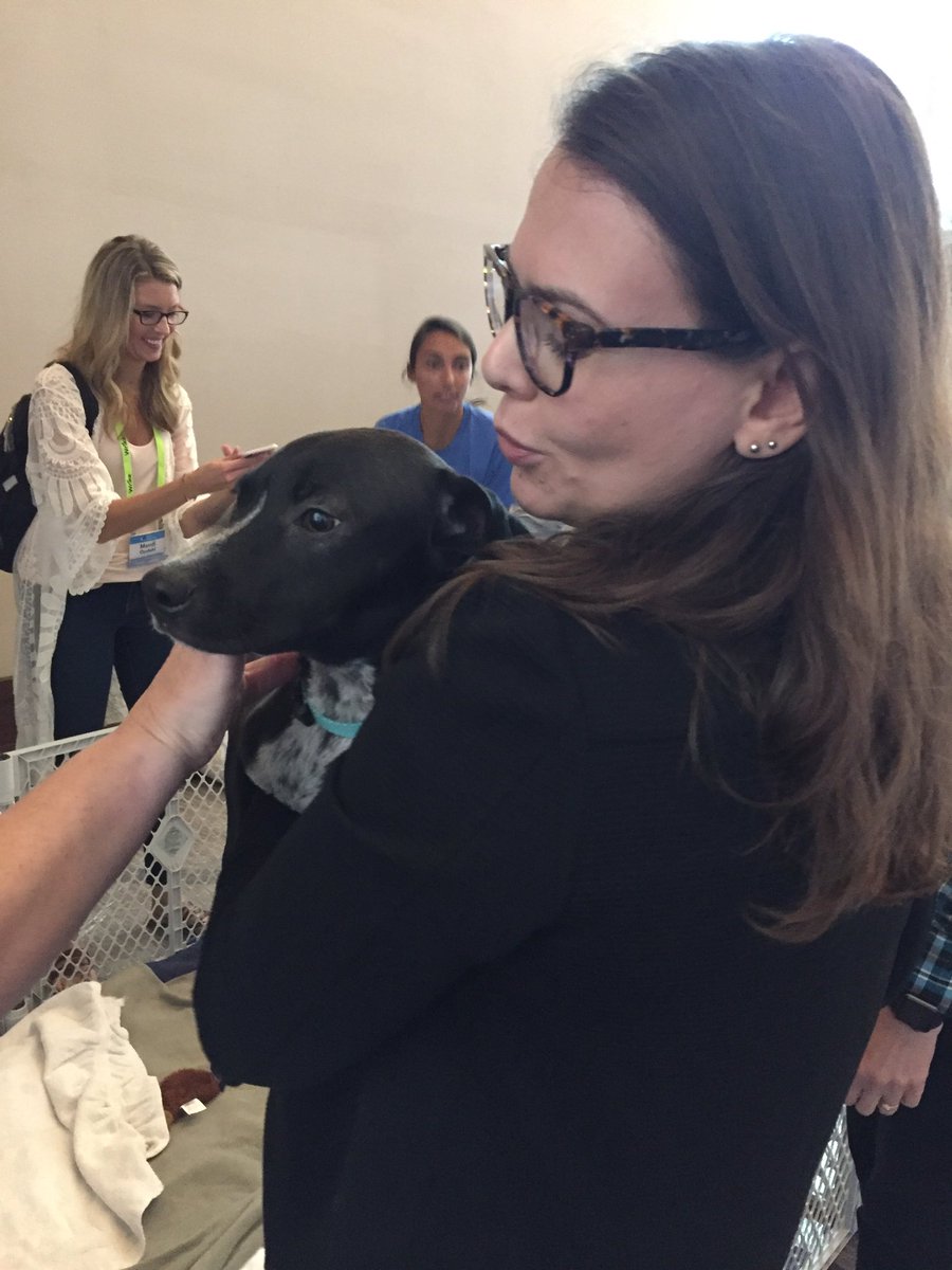 wrike's tweet photo. Take a break. Pet a puppy! #WrikeCollaborate #BarkBreak @nashvillehumane https://t.co/QjgcBs1Yvi