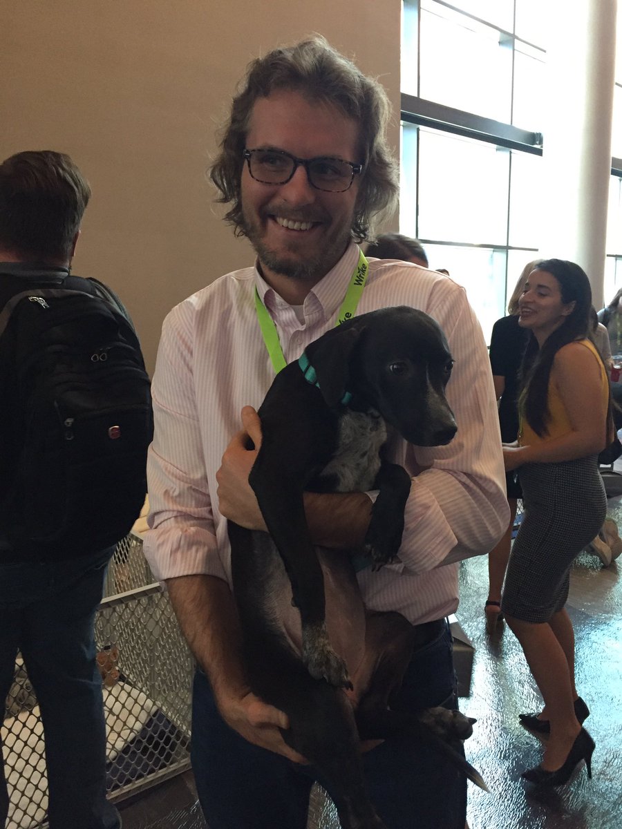 wrike's tweet photo. Take a break. Pet a puppy! #WrikeCollaborate #BarkBreak @nashvillehumane https://t.co/QjgcBs1Yvi