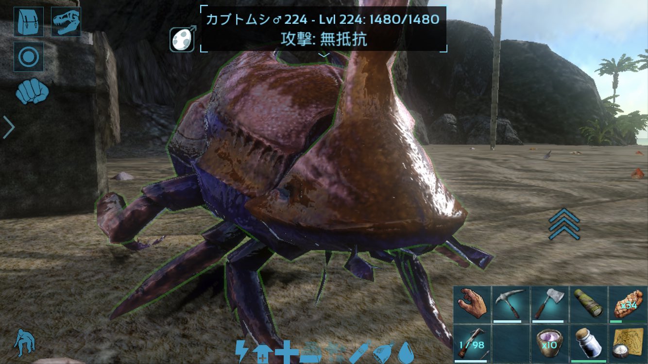 50 Ark フンコロガシ 肥料作らない ただのゲームの写真