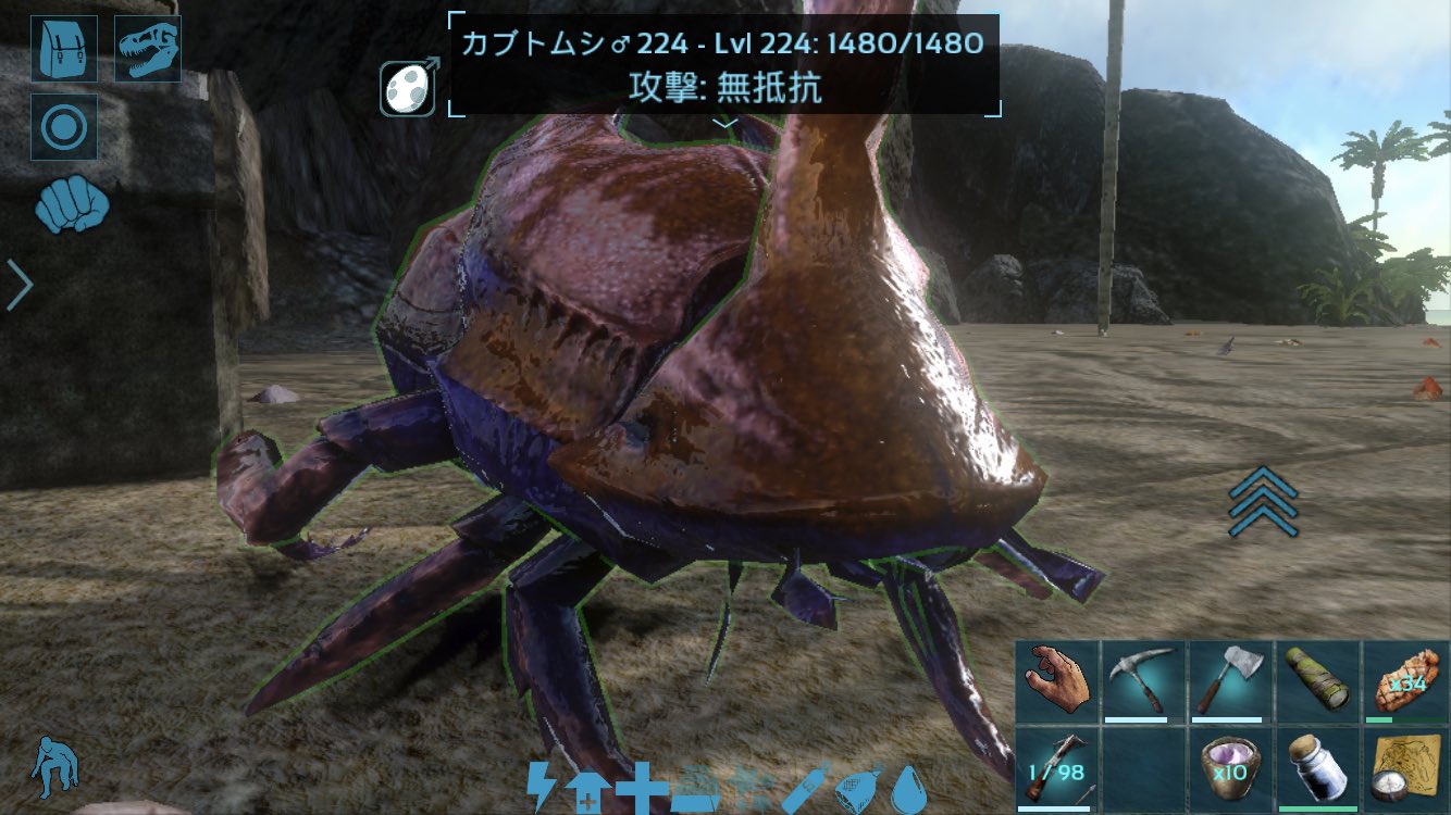 تويتر いえまり على تويتر 狩人の洞窟行ってカブトムシ採って来たよ W ﾌﾝｺﾛｶﾞｼｼﾞｬﾅｲﾖ ｳ ﾁしか持たせてないけどカッコイイよ 狩人の洞窟ﾏｼﾞｷﾓｲよ W カブトムシは12分 ぐらいで 中型ｳ ﾁの場合１つから中型肥料２つと原油4つを生成するみたいだよ