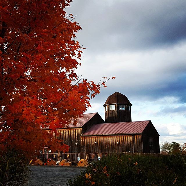 AmericanaWine's tweet photo. We're kicking off October right, starting with your Hump Day Herald! - https://t.co/mqD8bOFLrJ #flxfall #flxweekend #eatdrinkdance #twithaca https://t.co/ccG8xIlBGe