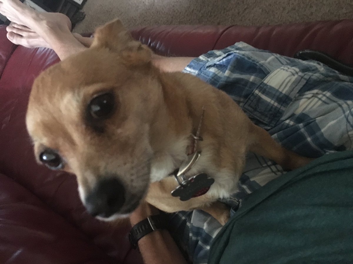 Todd Neal Thompson tweet media