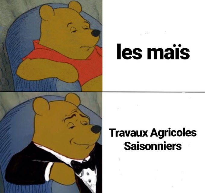 rediger son CV mood 