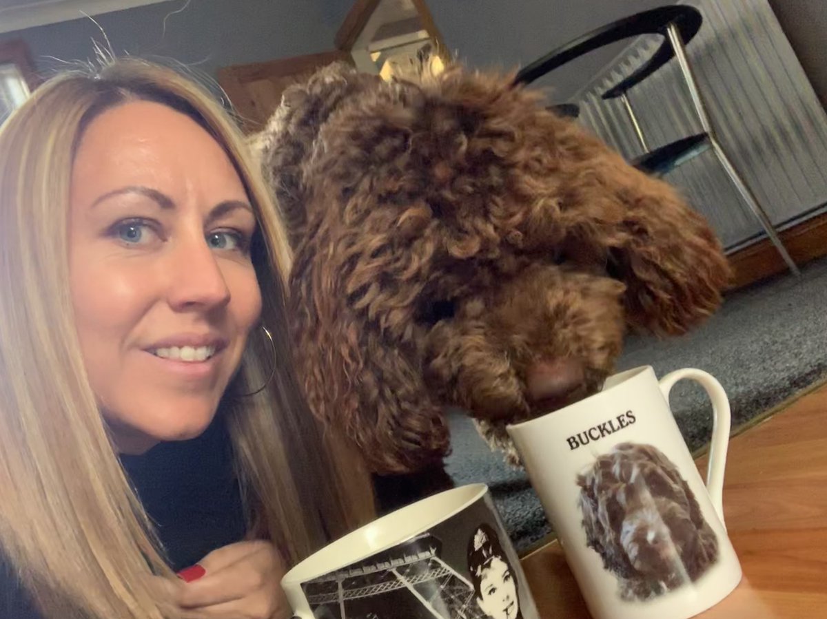 joanne_buckley7's tweet photo. So apparently when I make a cuppa these days,a certain Mr Buckles needs one too!!!!🤣🙈 #MrBuckles #PamperedPooch #LivingTheLifeOfAPrince 👑 🐶🐾 https://t.co/8zOXXdBCCn
