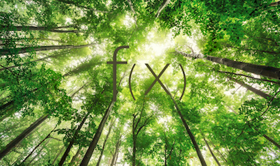 gambegiaco's tweet photo. Dear Pundians, Pundist and @PundiXLabs all over the world! Do you know how to make #PundiX greener and more sustainable? Today this ethical and commercial characteristic cannot be ignored. #FXTP #FunctionX #PundiX #IFABerlin #IFA2019 #BobPhone #blockchain #EncryptedPrivacy https://t.co/WwfQCikRxe