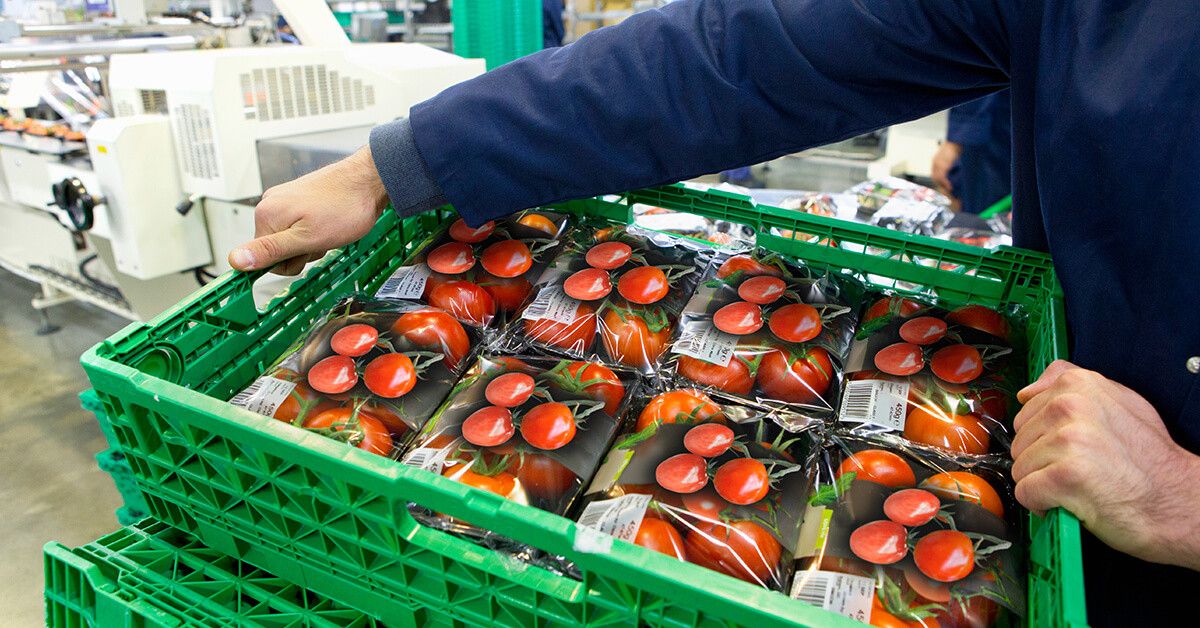 NoBordersNBDR's tweet photo. From Farm to Fork 🍅 how #blockchain and #IoT can enhance supply chain integrity and reduce contamination of our everyday foods. 🙌
#SupplyChain #InnovativeTech #DifferntByDesign $NBDR
https://t.co/oLvnL6Vchq https://t.co/rUjjVEntCO