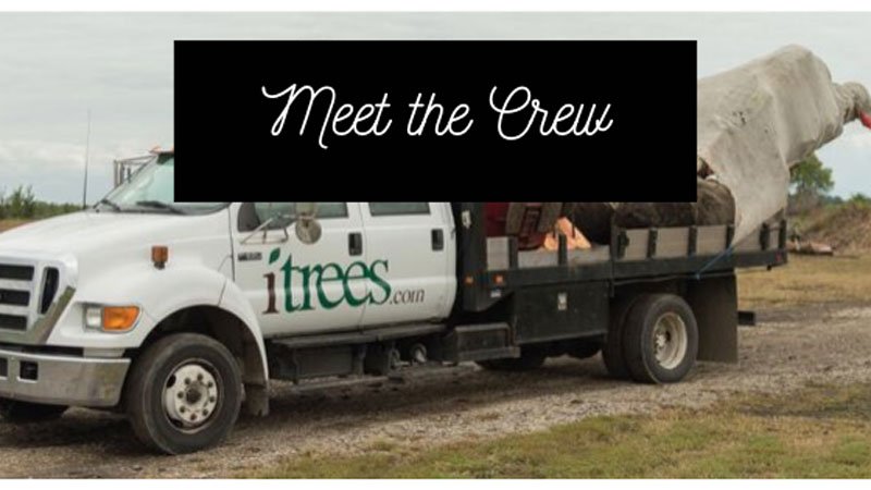 iTreesChicago's tweet image. With the fall dig and planting season about to begin, we thought we&apos;d take a moment to reintroduce ourselves, and our crew! 😄itrees.com/blog/meet-the-…
.
#aboutus #itrees #itreeschicago #treeplantingpros #smallbusiness #supportlocal #shopsmall #bigtrees #locallygrown #trees