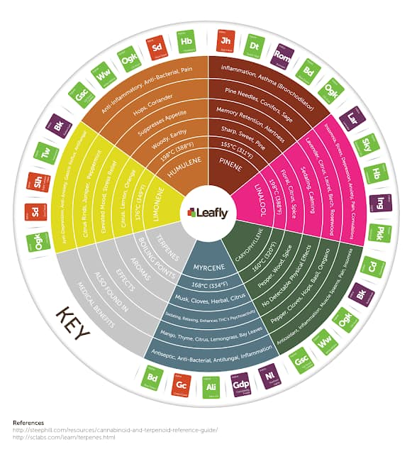 myglnr's tweet photo. A relative chart to help guide you in the right direction when considering cannabis as your alternative. https://t.co/JptiIb39jv