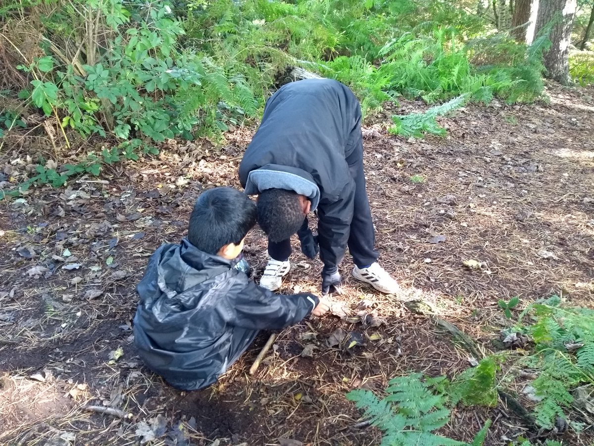 EPSResidentials's tweet photo. Our last chance to explore the forest. We enjoyed making dens for very greedy squirrels! @EdenhurstSchool @EPSPrep4 @EdsentialUK #EPSInspire https://t.co/hKgRxTRjza