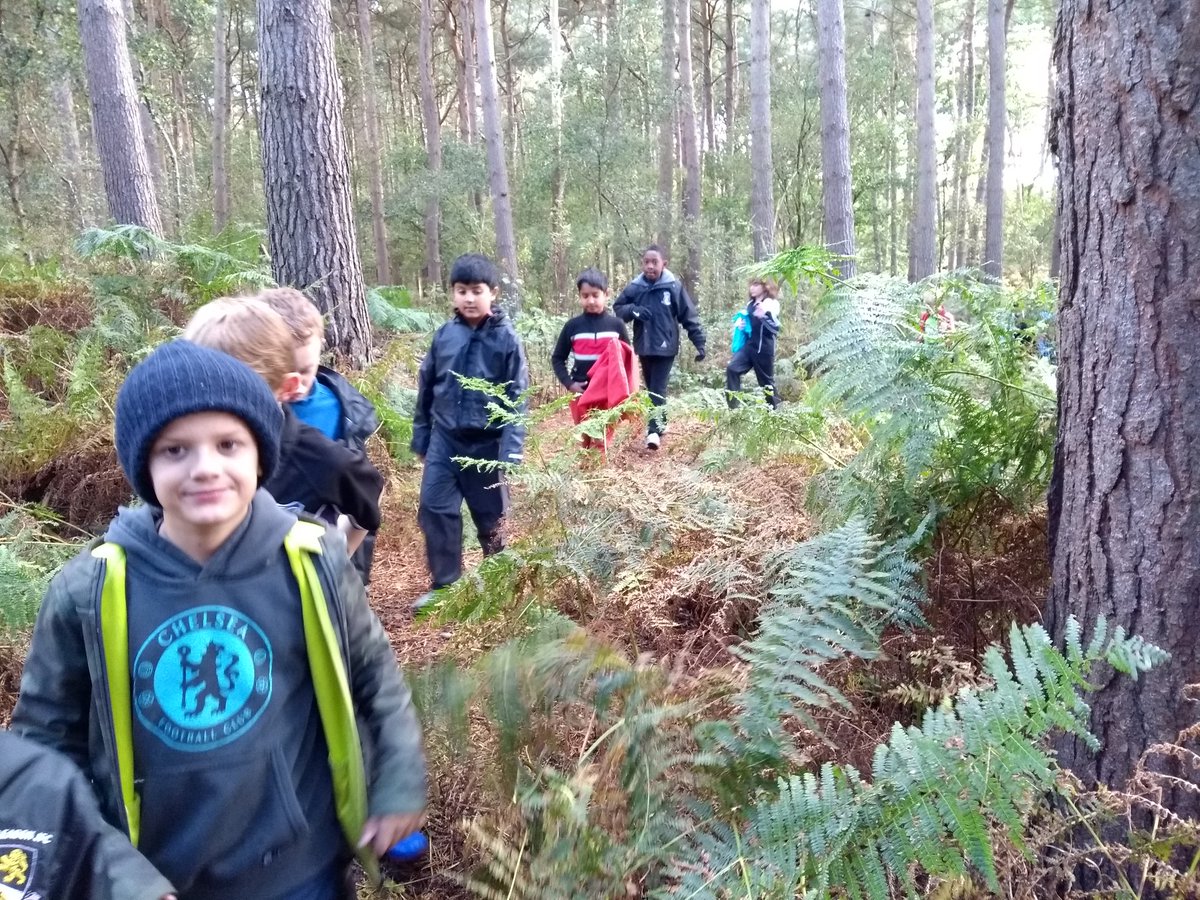 EPSResidentials's tweet photo. Our last chance to explore the forest. We enjoyed making dens for very greedy squirrels! @EdenhurstSchool @EPSPrep4 @EdsentialUK #EPSInspire https://t.co/hKgRxTRjza