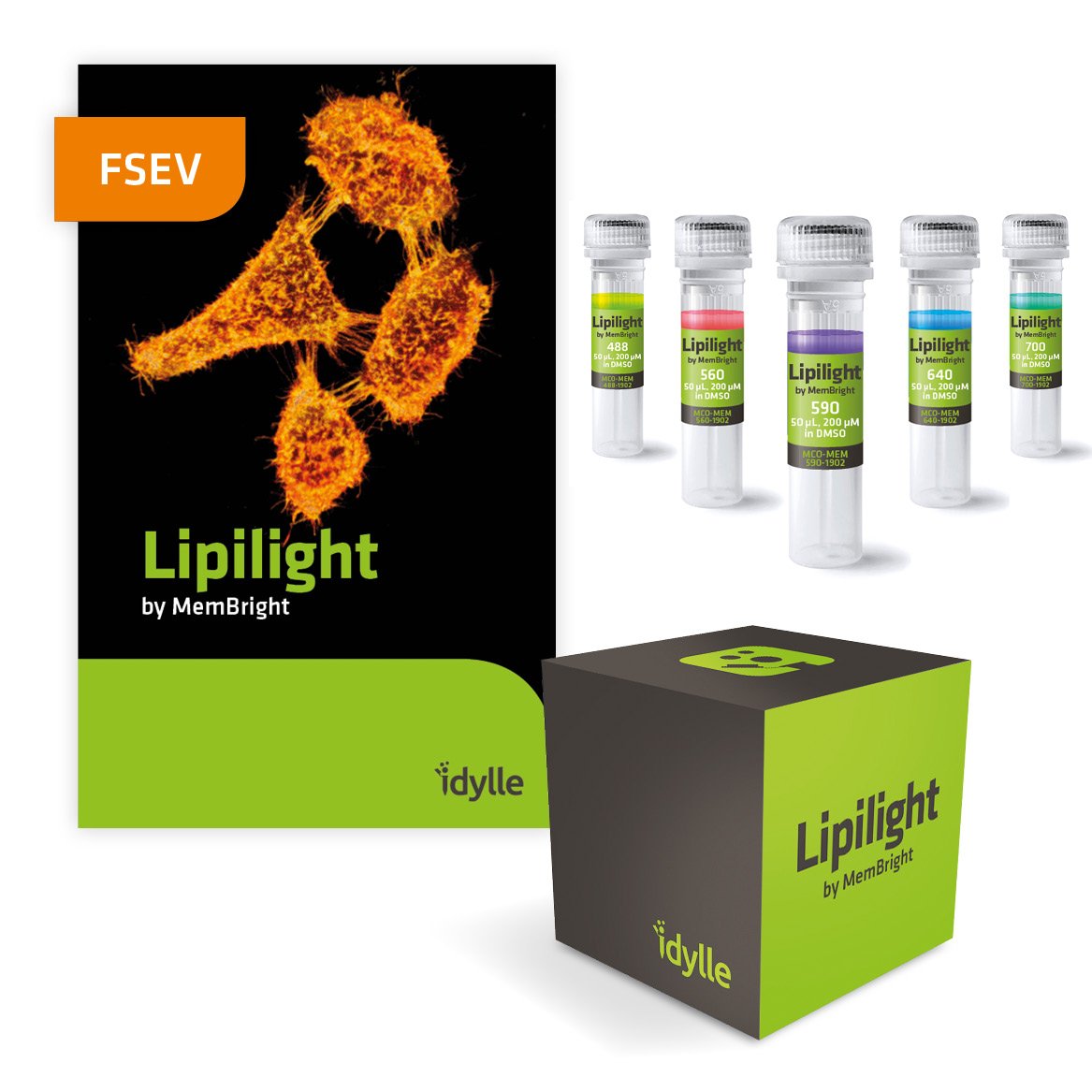 IdylleLabs's tweet photo. So happy to be at #FSEV2019 with our sister company @MYRIADELAB!
๐จWe will offer -40 % discount at their booth 4 for trying out #Lipilight by #MemBright๐จ
We hope to meet our #EVs users there๐so please RT ๐
@French_Soc_EVs @UKEVSoc @IsevOrg @GSEV10 https://t.co/lGEdLOjwbN