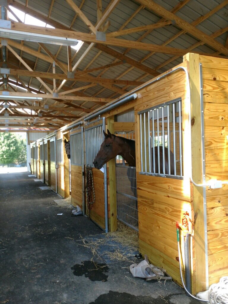 inc_blitz's tweet photo. Another satisfied Blitz customer 🐎🐎🐎🙌🏾❤️.
.
.
.
.
.
#buildwithblitz #blitzbuilders #horses #horsebarn #polebarn #postframeconstruction #postframebuildings #barngoals https://t.co/2cviZg8xoK