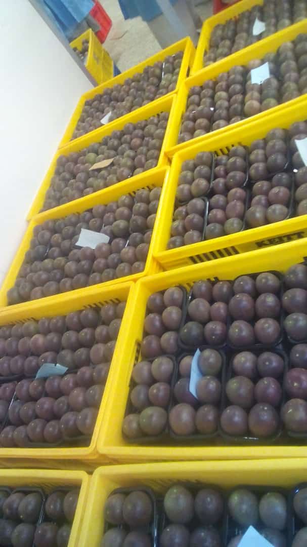 THE BOTTOM LINE!
If You're Looking For a Nutritious And Tasty Snack, Passion Fruit Is A Great Choice;- Low Calories, High Nutrients, Fiber And Antioxidants....Talk Of Balanced DIET!!
Place your orders today... commercial@instaveg.co.ke