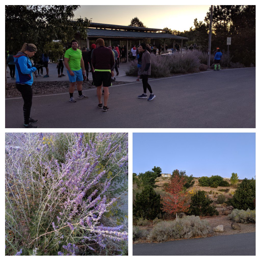 Estuaries_AFS's tweet photo. It's #spawningrun #carcascrawl time for #afs2019 #fishnwild excited to do some wildlife and fauna viewing on the way! https://t.co/UQ8Md5w9Iu