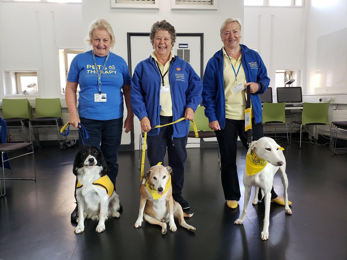 covcampus's tweet photo. The wonderful @PetsAsTherapyUK charity volunteers brought their lovely doggies for a visit at the Library! 🐕🐾 #DogsInLibraries #PetsAsTherapy #StudentsLoveDogs https://t.co/5z8YeQojLL
