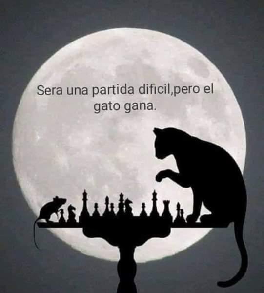 CompromisoMM's tweet photo. #SeraDificil #PeroElGatoGana #LaDamosVuelta #SiSePuede @mauriciomacri https://t.co/etOmU6nn6m