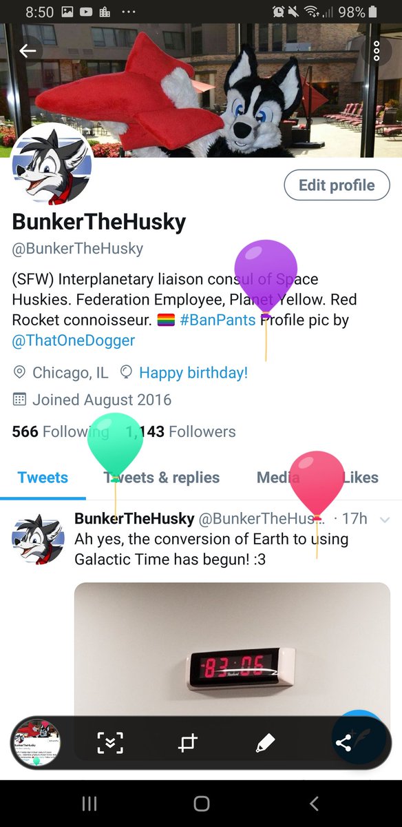 BunkerTheHusky's tweet photo. Oh no... The balloons have returned. They probably want their helium back... https://t.co/Hqmc4JphXt