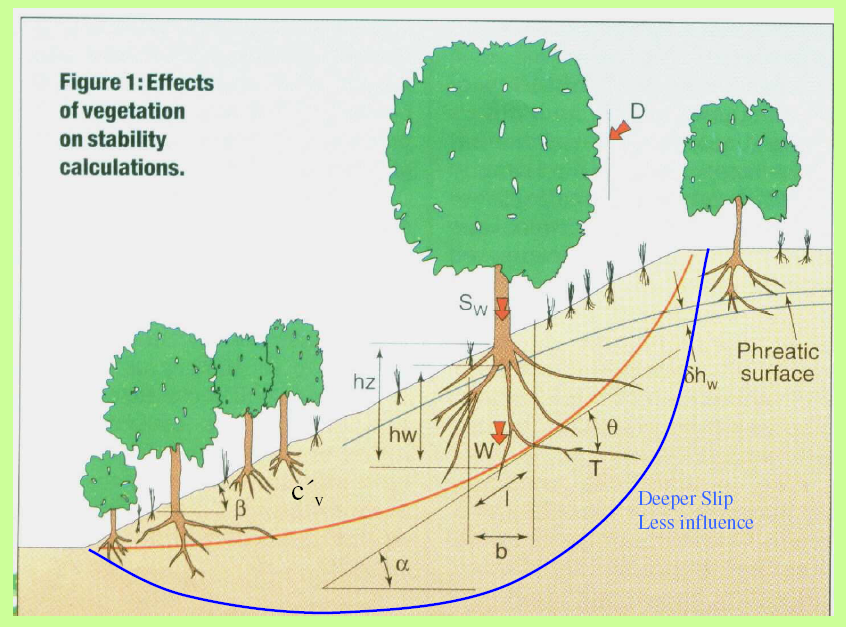 ecomedbio's tweet photo. Nueva edición del curso de estabilidad de taludes y técnicas de estabilización tradicionales y de bioingeniería. Incluimos el programa ssap (slope stability analysis program) que es un software para el análisis de estabilidad novedoso, potente y gratuito
https://t.co/Q4Z7tET1H9 https://t.co/ayr0cPpYqR
