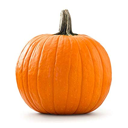 ArticleGroup's tweet photo. The spooky season is finally upon us, which means arguing about candy corn &amp; of course, carving pumpkins!

What’s a terrifying thing from your everyday life you'd write on a “painfully relatable jack-o-lantern”?

Write your answer on one of these pumpkins. Winner gets a trophy! https://t.co/vmQym8uygf