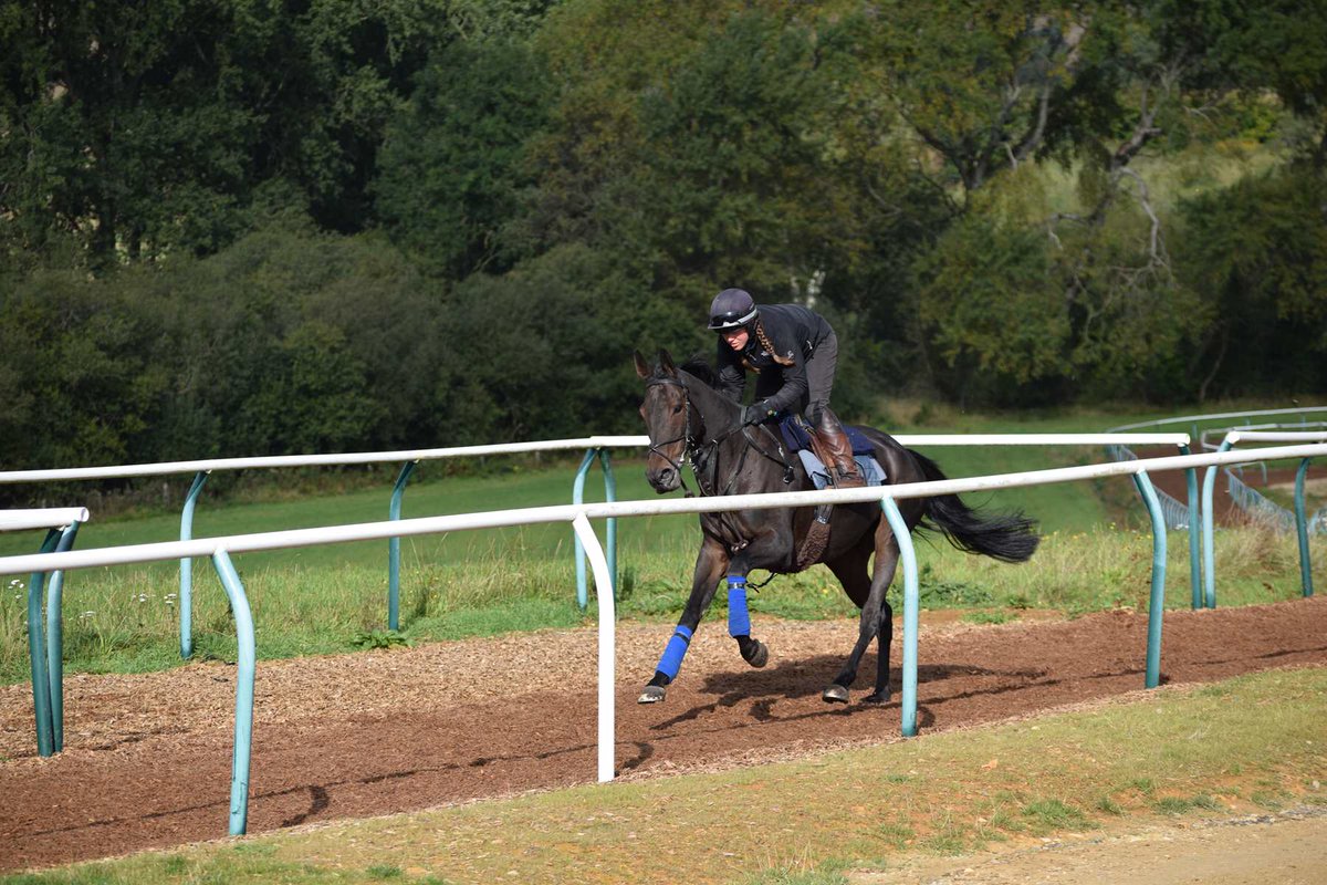 LongsdonClub's tweet photo. A Vos Gardes on the gallops this morning

For more info, email Georgina and Randy on racingclub@charlielongsdonracing.com 

#RacingClub #TeamLongsdon #AVosGardes #CLRC https://t.co/Bej3lnyJxf