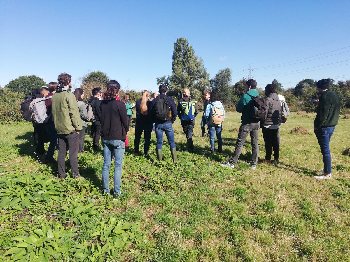 SHEDx  Growing Ideas tweet media