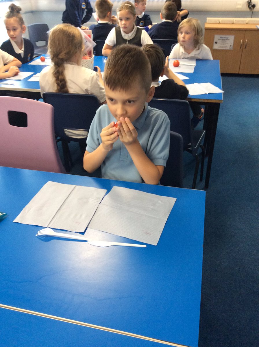 MrsLaverackMPS's tweet photo. On Friday we mummified tomatoes as part of our topic! Yuck! 🍅🍅🍅#MPSTopic #AncientEgyptians #mummificationprocess https://t.co/UoPHenKsw7