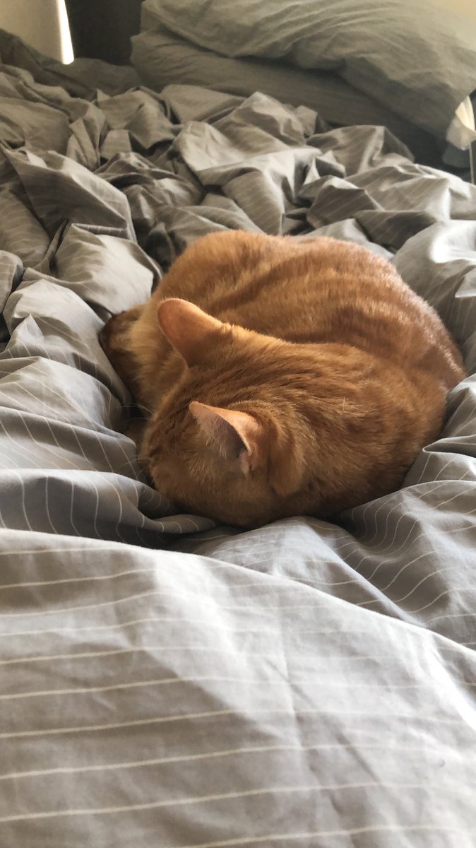 ImTryingShow's tweet photo. Feeling like Marli this morning? Come listen to our new episode with the incredibly funny and wonderful @JenniferJokes! Available wherever you find your podcasts. https://t.co/NXA8KIhKBB https://t.co/PkzC7wweC3