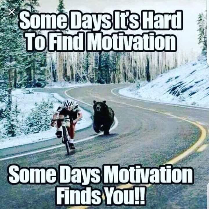 At myTEAM TRIUMPH we're blessed to always know what motivates us - our CAPTAINS!

But let's be honest, sometimes in the early morning they do act like tired, hungry bears . . . 😂😂